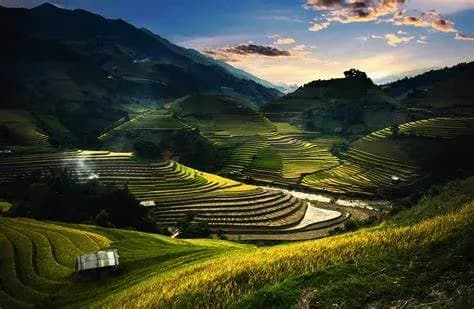 What natural capital potential of Vietnam needs to be protected?