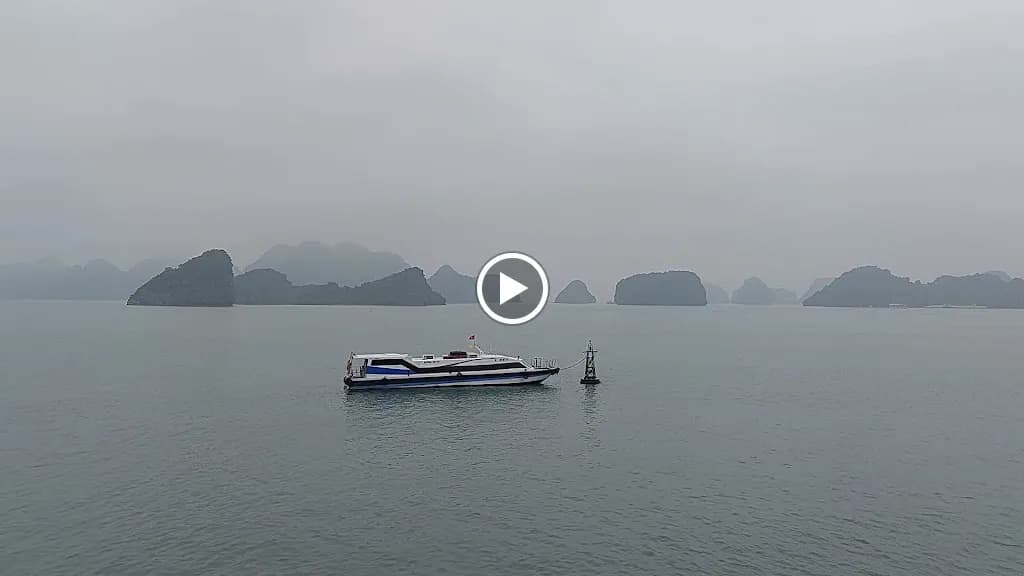 La Pandora cruise