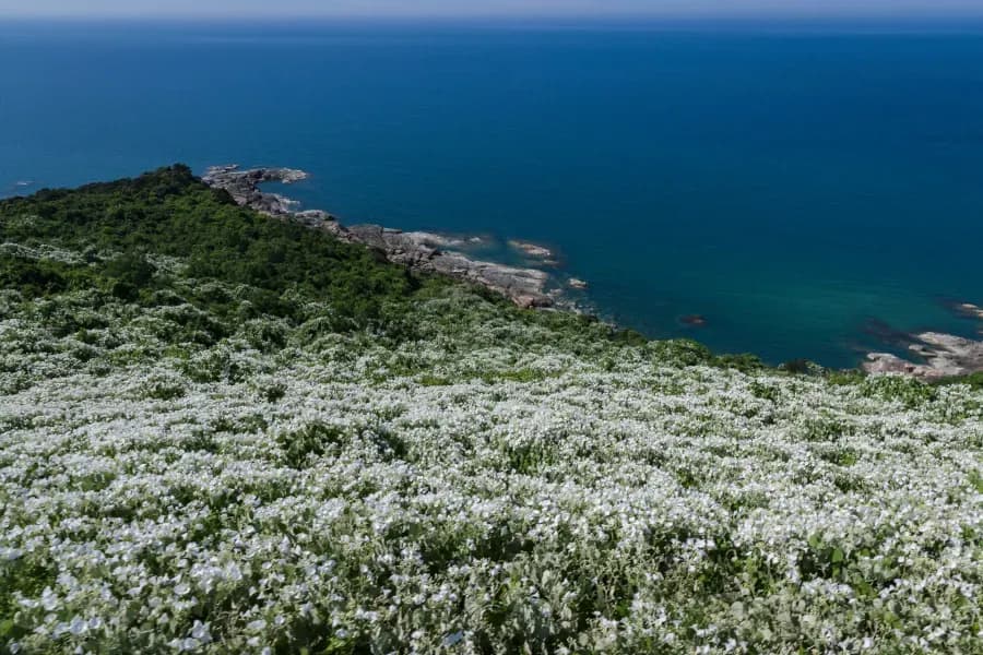 Voie ferrée passant par Hai Van Pass