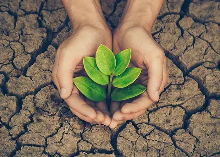 10 environmental protection measures for public health