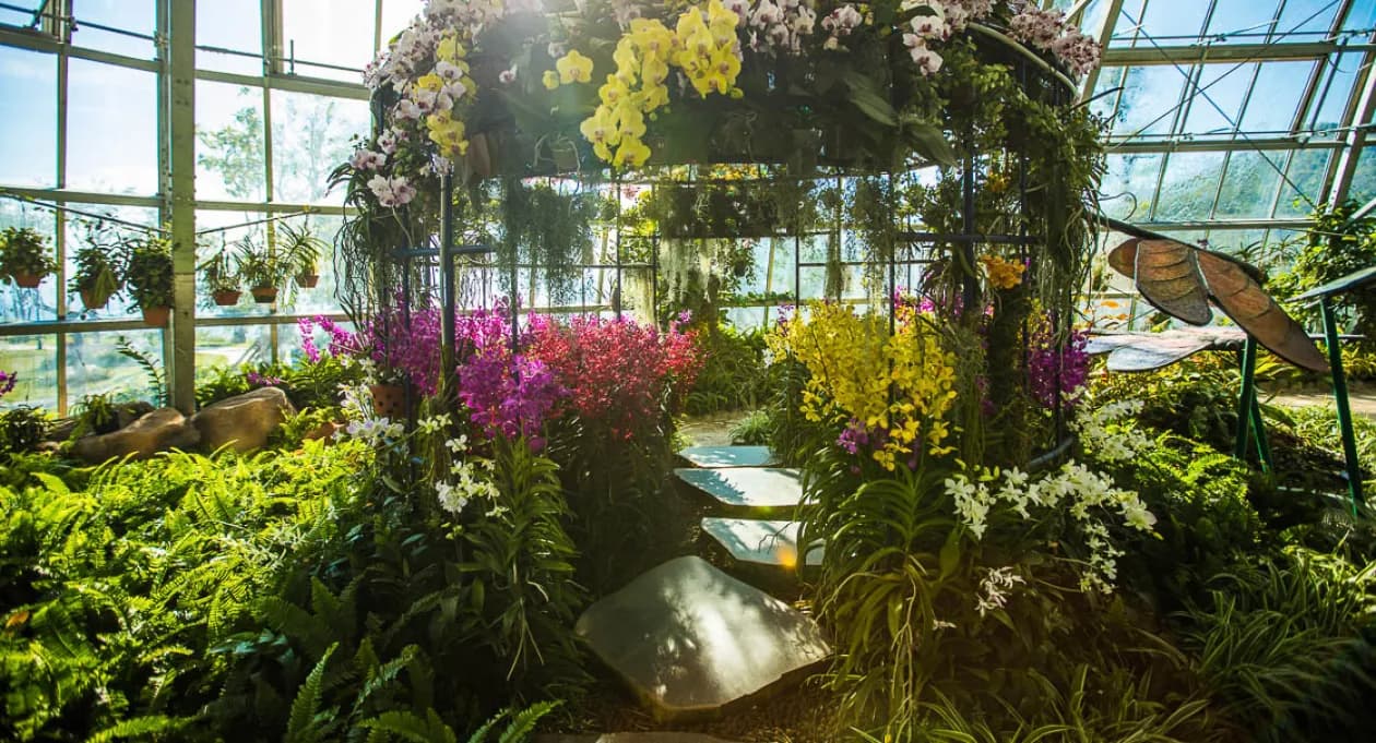 A lush, vibrant landscape of VinWonders Botanical Park’s World Garden, showcasing a variety of exotic plants and colorful flower