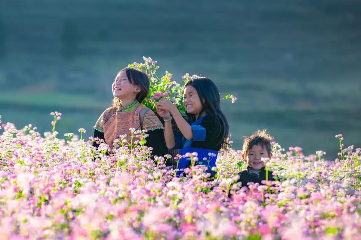 Children smiling among vibrant buckwheat fields.