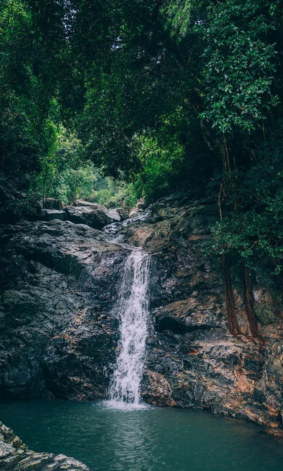 Waterfall nestled in dense forest, blending with lush greenery.