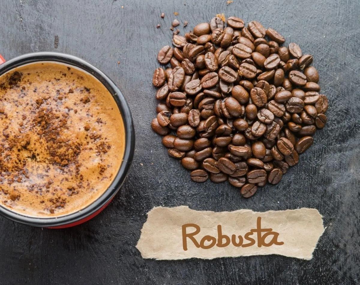 Delicious cup of Robusta coffee next to roasted beans.