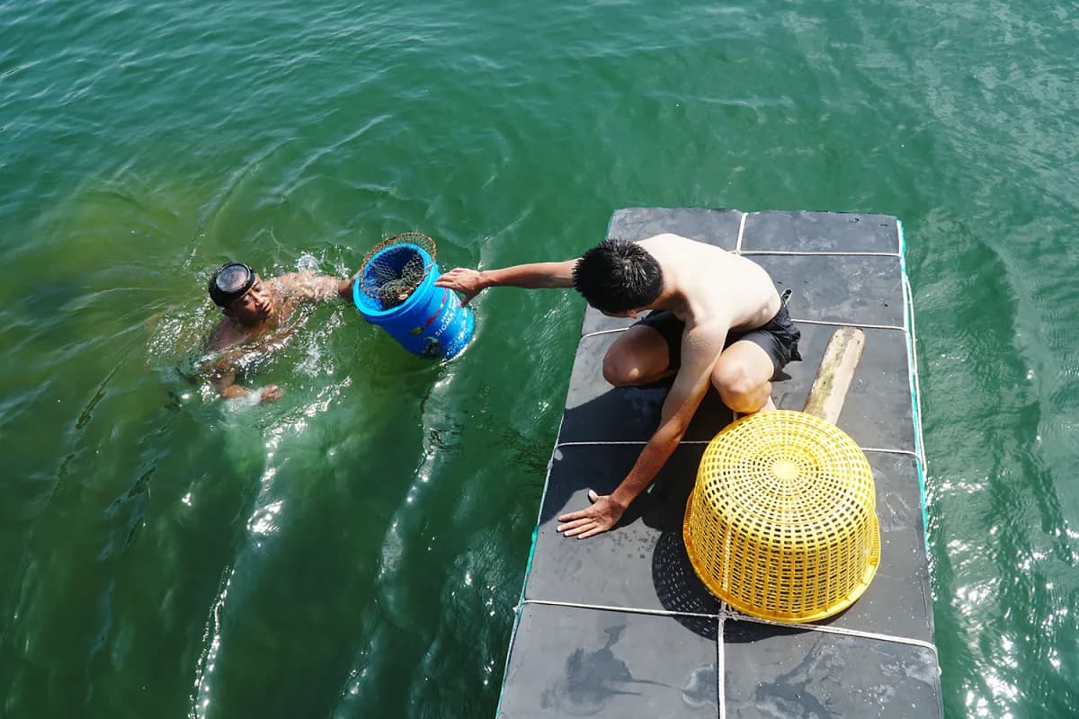 Diving-catching-and-eating-sea-mussels-on-Pirate-island_4.jpg