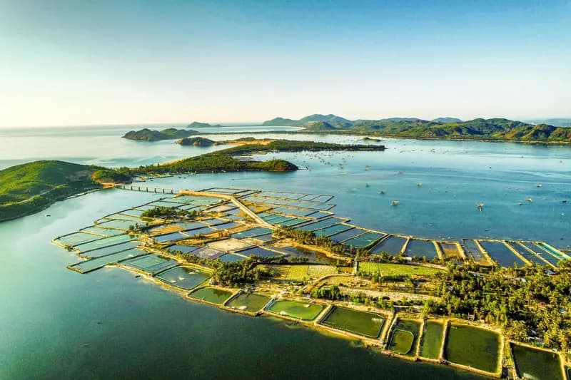 Du-lich-dam-O-Loan---Diem-sang--cua-du-lich-Phu-Yen_đầm Ô Loan 1.jpg
