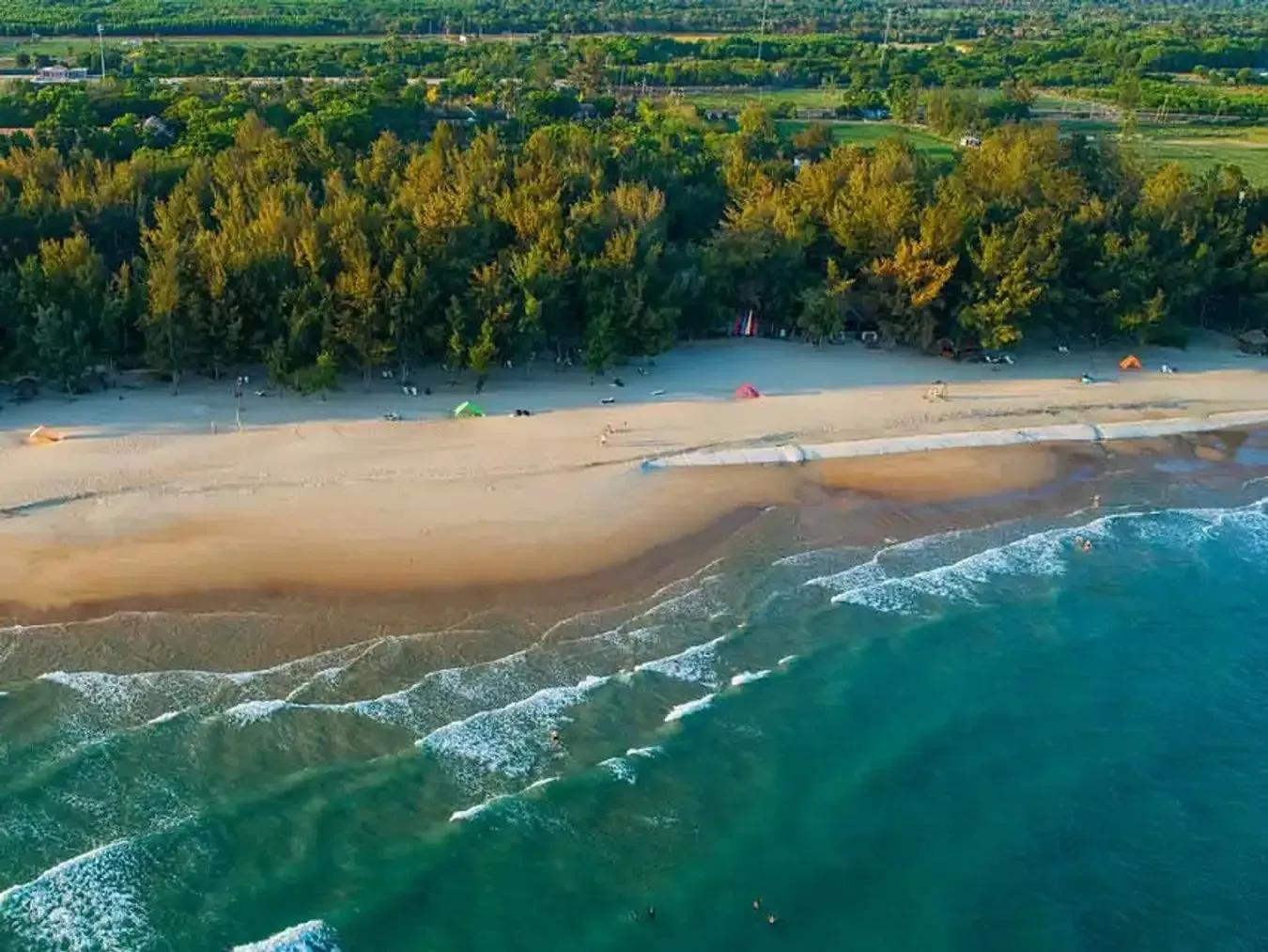 Aerial view of Hồ Tràm Beach with fine white sand and lush green pine forest.