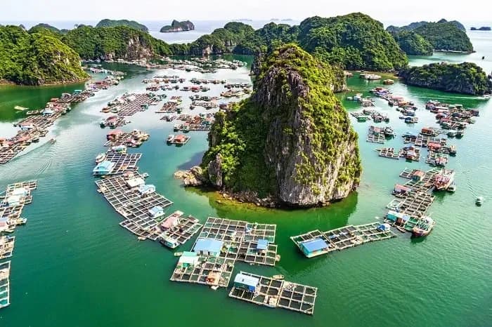 The stunning floating fishing village scene at Cat Ba.