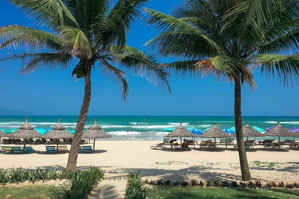 My Khe Beach with lush coconut palms and endless white sand offers a serene setting for relaxation.