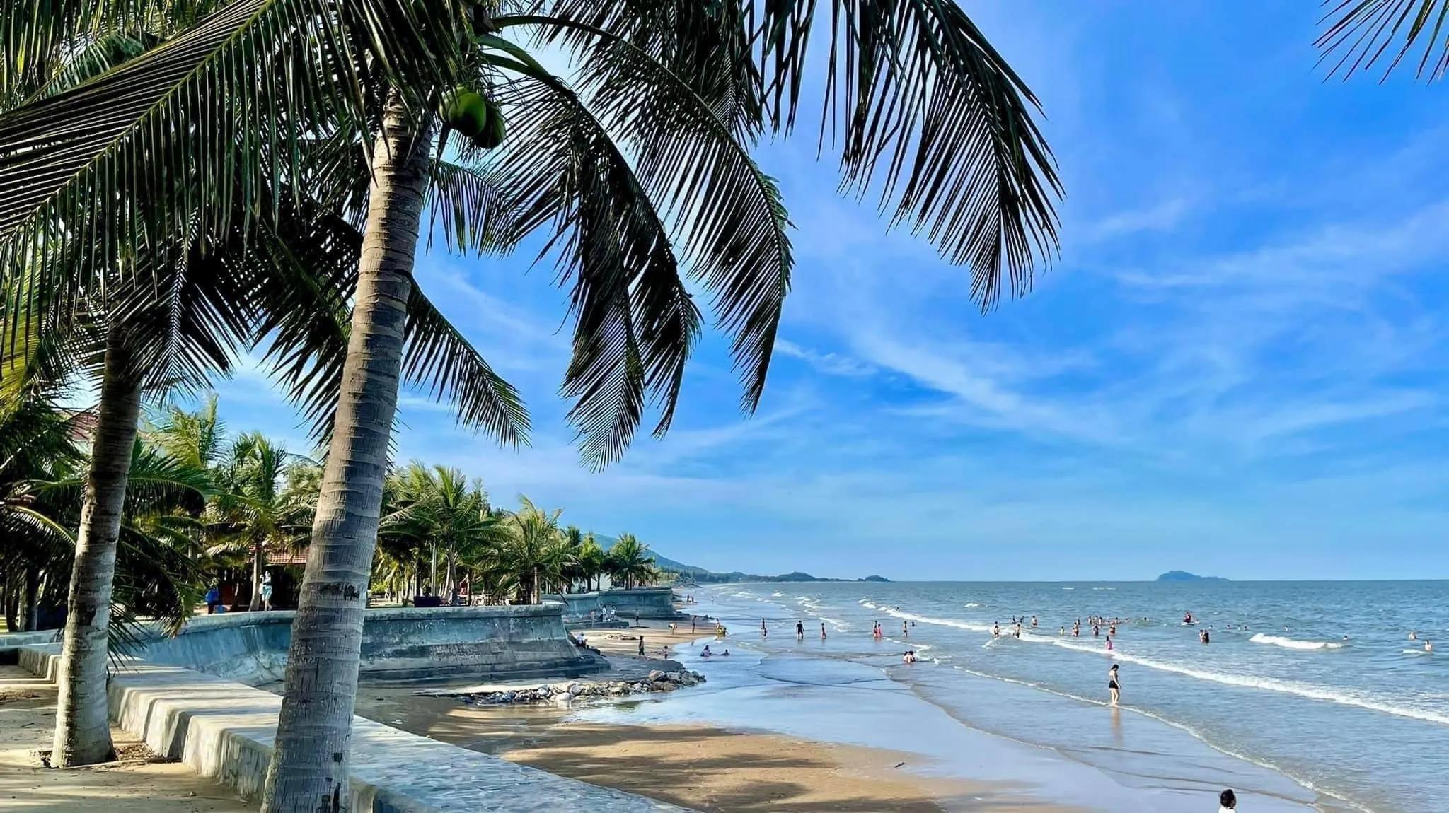 Lush coconut trees along Hai Tien Beach create picturesque scenery.