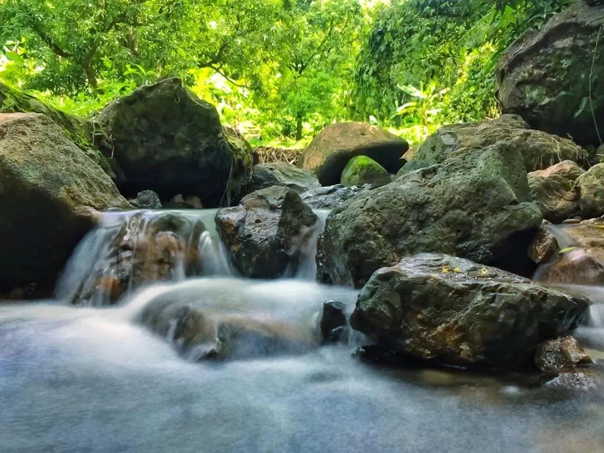 Gentle stream flowing over rocks