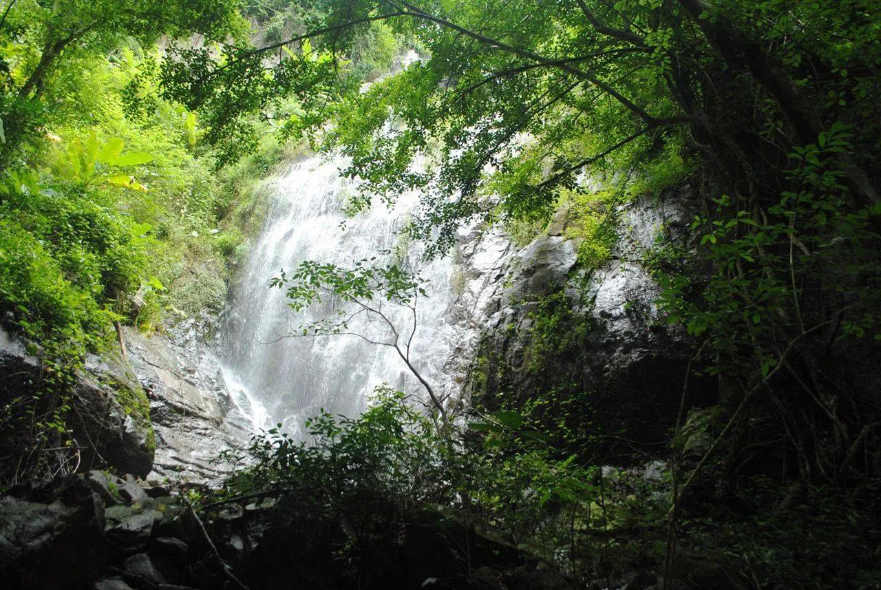 Otuksa Stream surrounded by lush green forest, providing a cool and peaceful atmosphere.