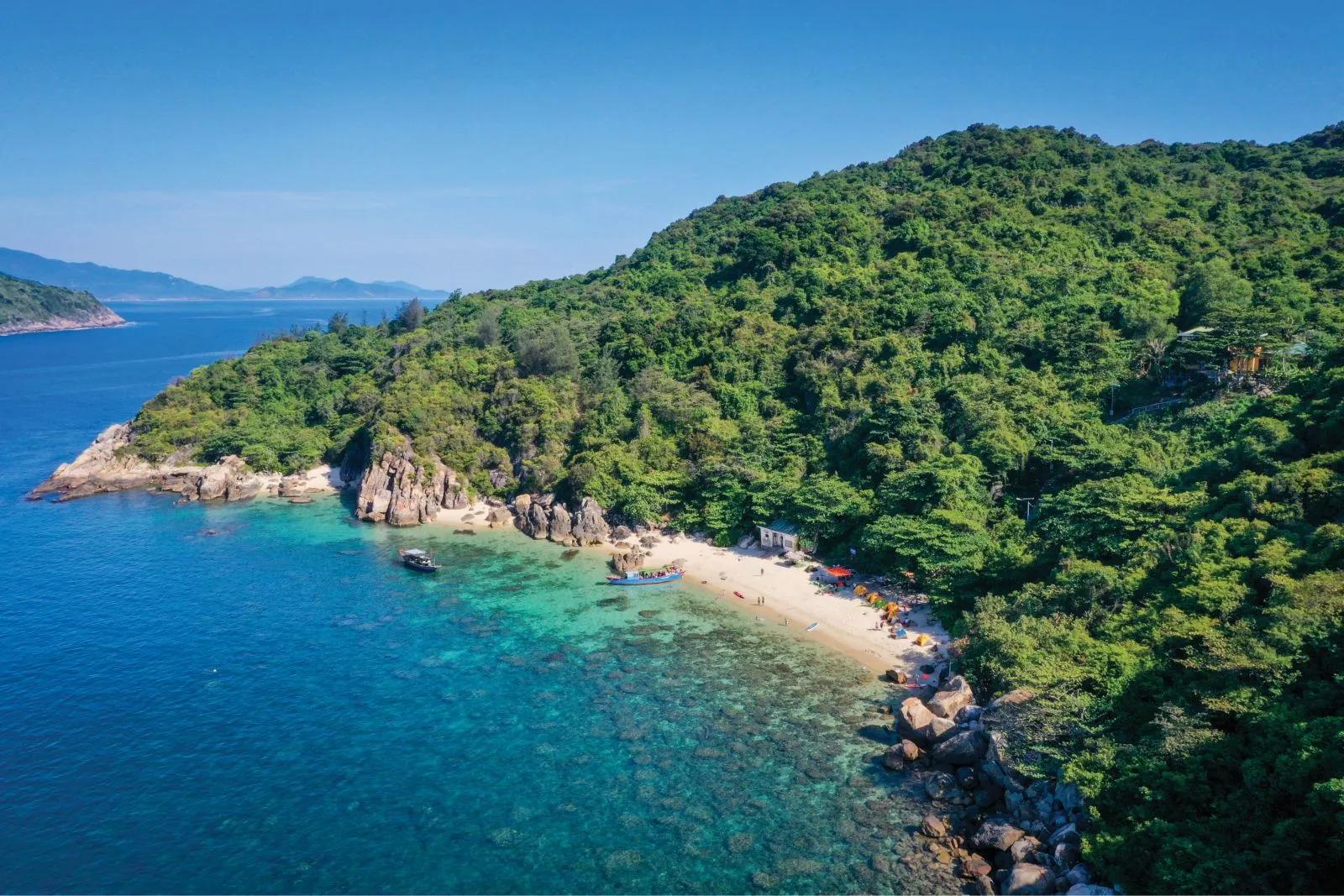 Scuba-diving-to-see-corals-at-Hon-Chao_Lặn biển ngắm san hô ở Hòn Chảo, Huế 1.jpg