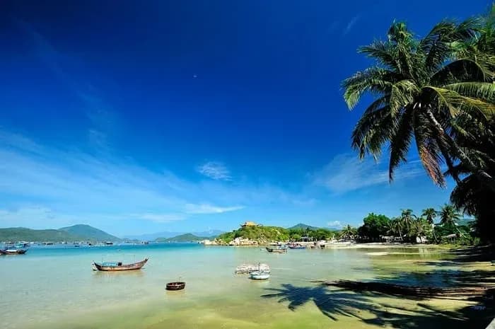 A serene view at Son Dung Beach with palm trees and crystal-clear waters, perfect for relaxation.