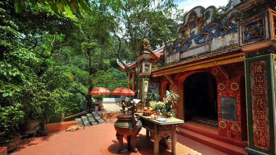 Immerse yourself in the tranquility of divine statuary.