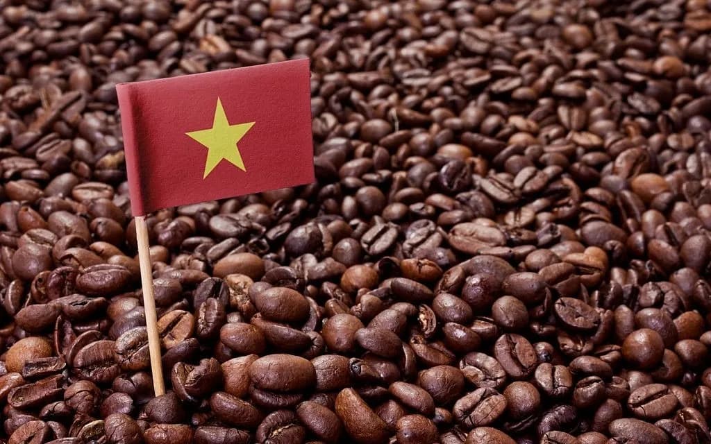 Vietnamese flag on coffee beans.