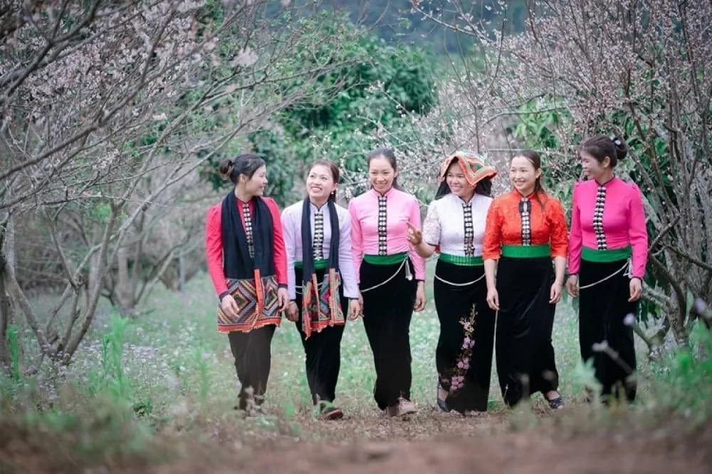 Xinh Mun women strolling amidst a blooming peach blossom garden.