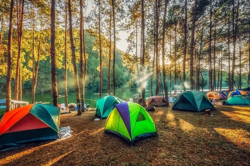 cat-tien-cong-vien-quoc-gia-campground-camping-nam-cat-tien-park-6f01_cắm trại tại Vườn quốc gia Cát Tiên 6.jpg