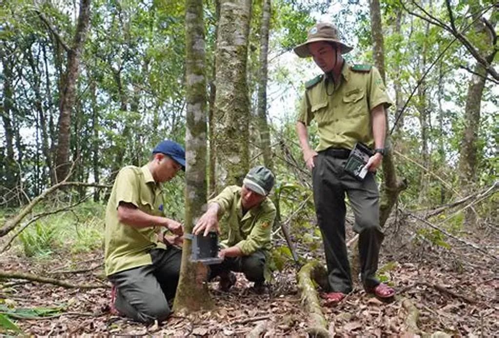 Issues in resource management in Vietnam