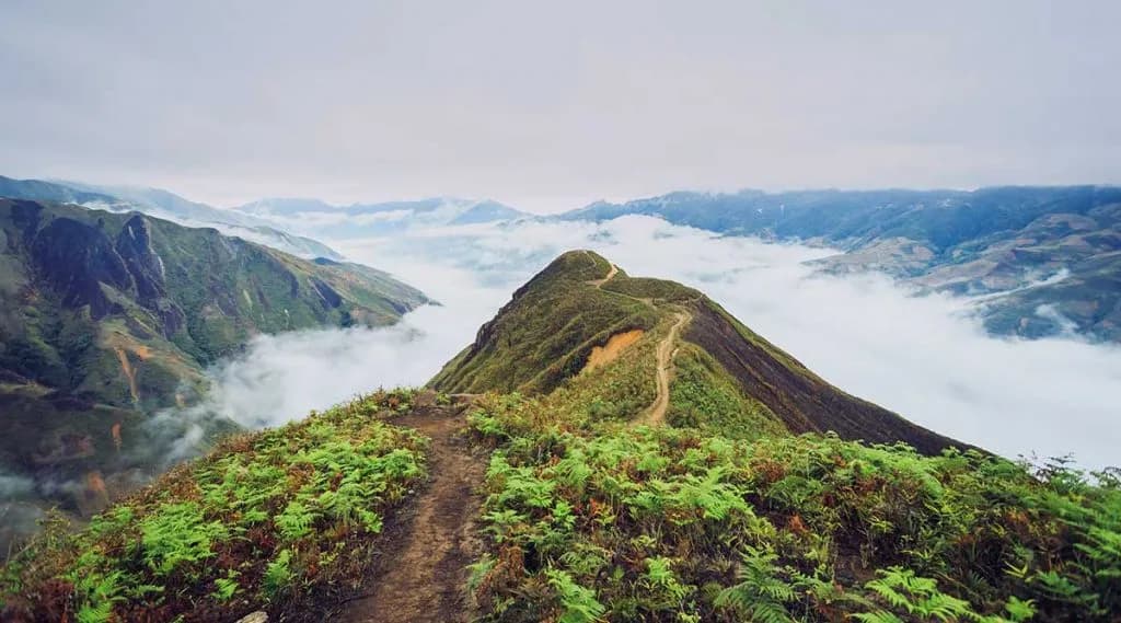 chinh-phuc-dinh-ta-xua-bang-cung-trekking-12-km_đỉnh Tà Xùa 1.jpg