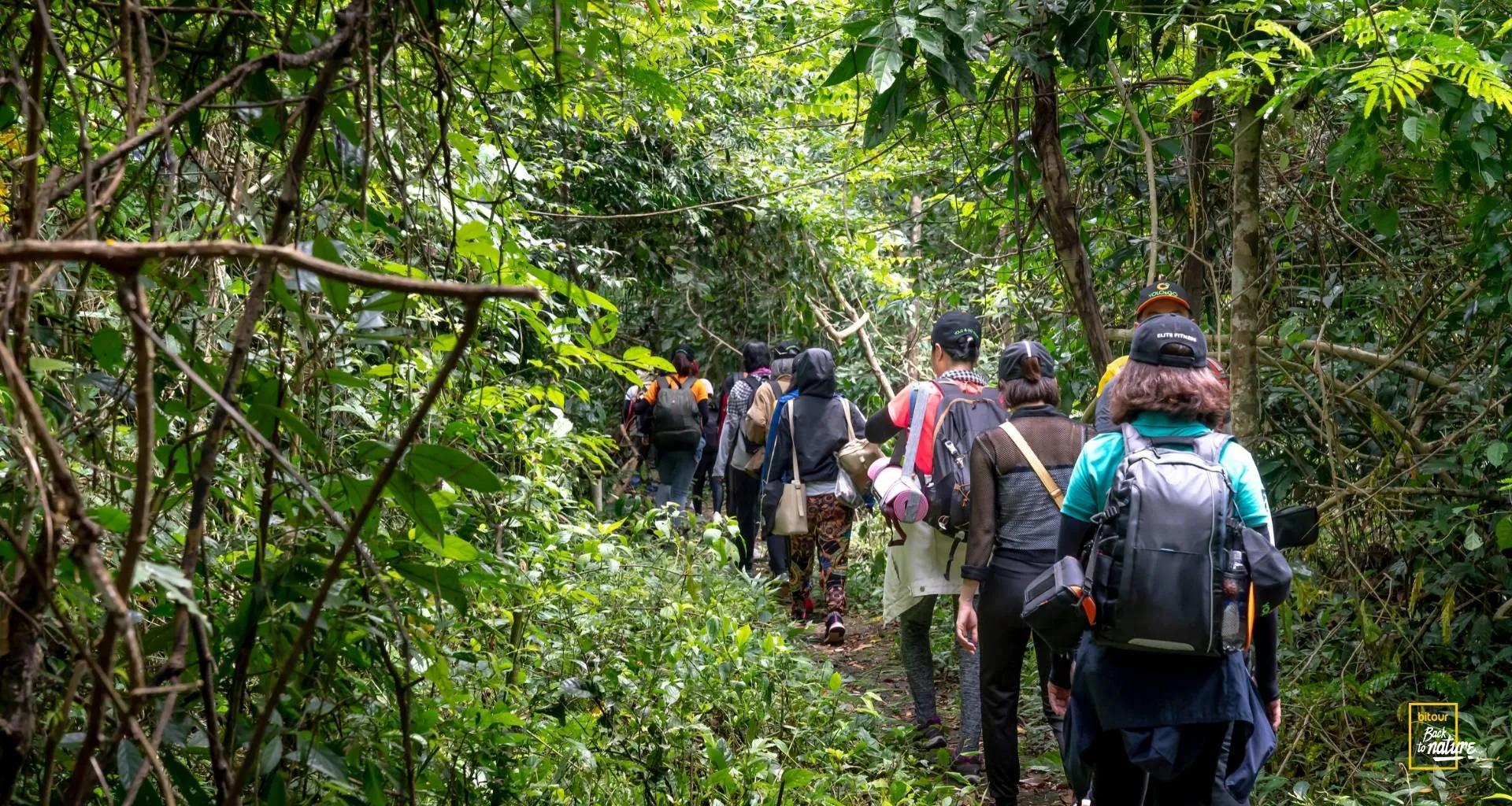 chuyen-trekking-thot-tim-vi-lo-cano-ve-cat-ba_trekking Cát Bà 4.jpg