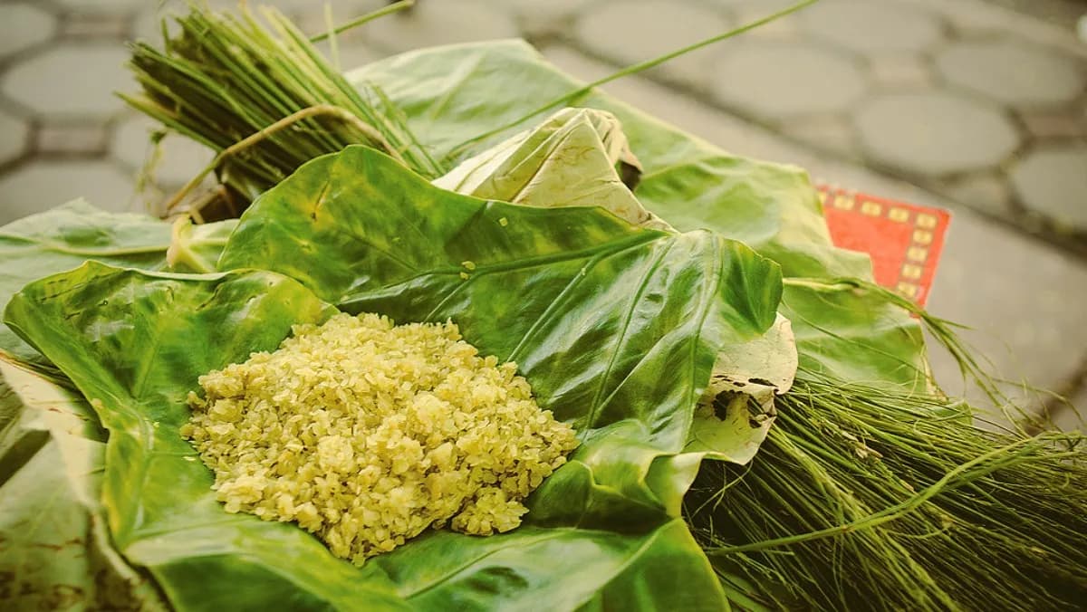 com-lang-vong-banh-my-vao-top-10-ky-luc-chau-a-moi-ve-am-thuc_com-la-gi-cach-bao-quan-com-tuoi-mua-com-lang-vong-o-dau-ngon-thumb-chu-nhat-1200x676.jpg