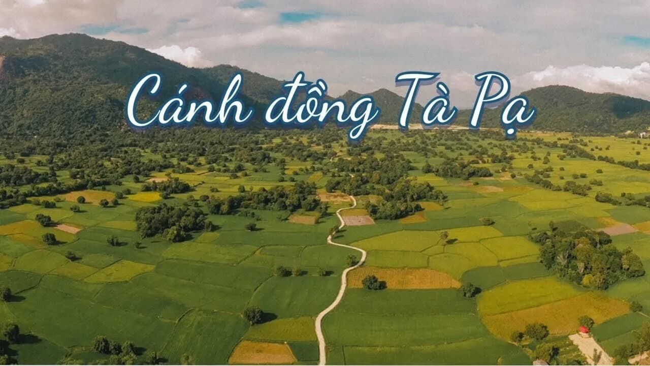 ghe-an-giang-mua-lua-chin-ngam-nhin-canh-dong-ta-pa-doc-dao-du-o-sac-mau_1.jpg