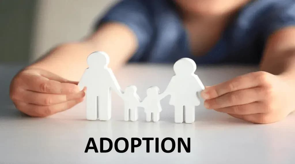 How is the procedure for introducing children for foreign adoption regulated in Vietnam? 1