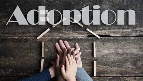 Learn about foreign adoption according to regulations in Vietnam 1