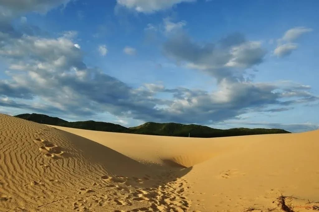 kinh-nghiem-du-lich-doi-cat-phuong-mai-quy-nhon-day-du-nhat_Đồi Cát Phương Mai Quy Nhơn 5.jpg