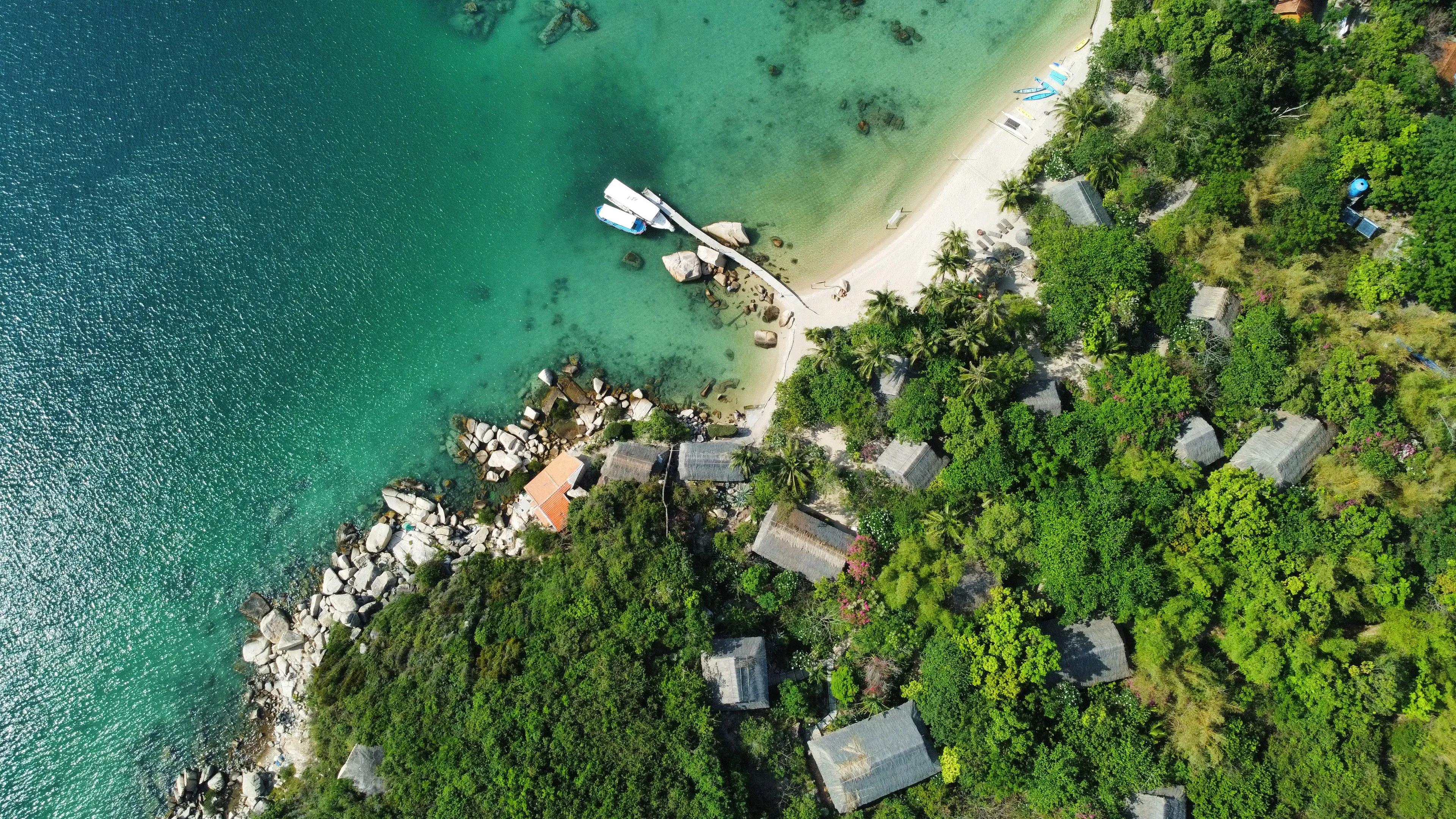 The vibrant greenery of Whale Island from above, showcasing white sands and blue sea.