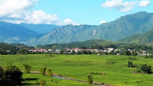 nhat-thanh-nhi-lo-tam-than-tu-tac-cau-ngoi-ca-tu-bao-doi-khien-nhan-dan-phu-yen-tu-hao-khi-noi-ve-canh-dong-muong-tac-mot-trong-bon-canh-dong-rong-nhat-tay-bac_canh-dong-muong-than.jpg