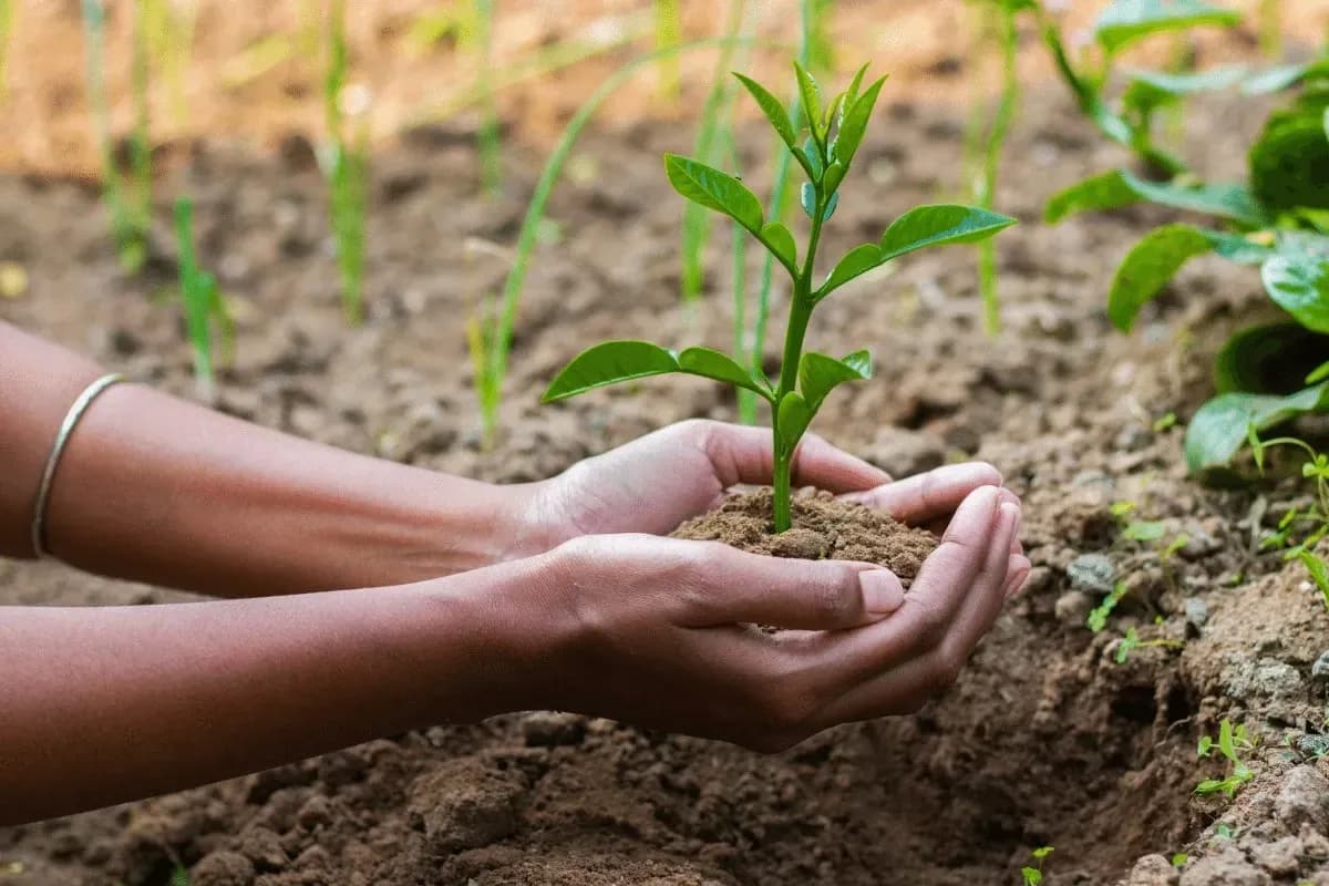 What to do to protect natural resources and living environment?