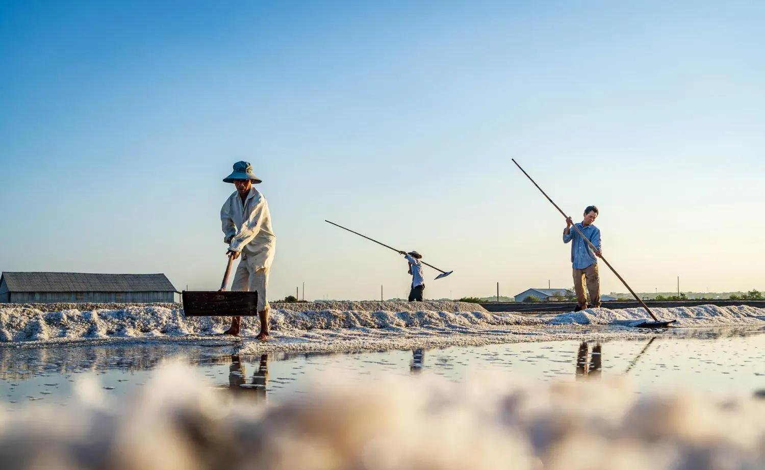 Workers on the Long Dien salt fields at dawn.