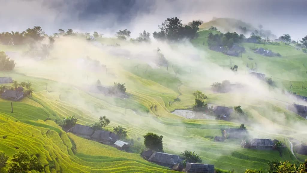 Beauty of Hoang Su Phi: Terraced fields beneath mist.