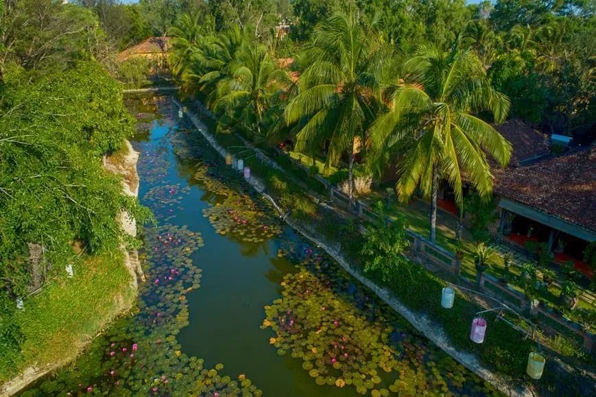 A tropical resort featuring a canal with lotus flowers and lush palm trees.