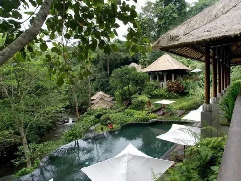Peaceful scenery at a tropical resort surrounded by greenery.