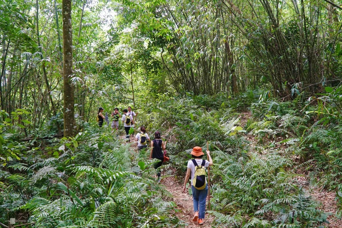 A group of hikers trekking through Ba Vi's lush forest.