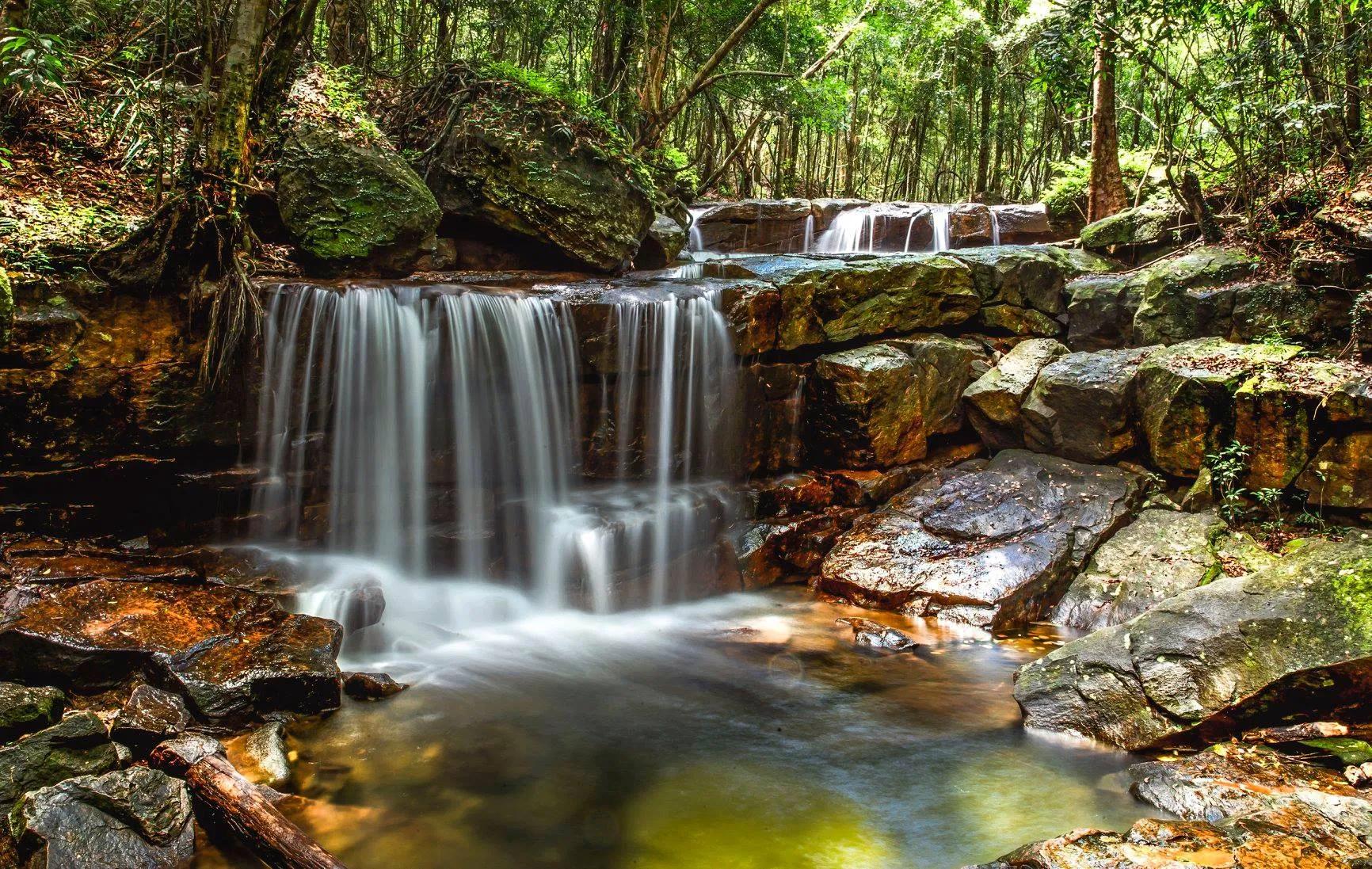 trekking-vuon-quoc-gia-phu-quoc_vườn quốc gia Phú Quốc 3.jpg