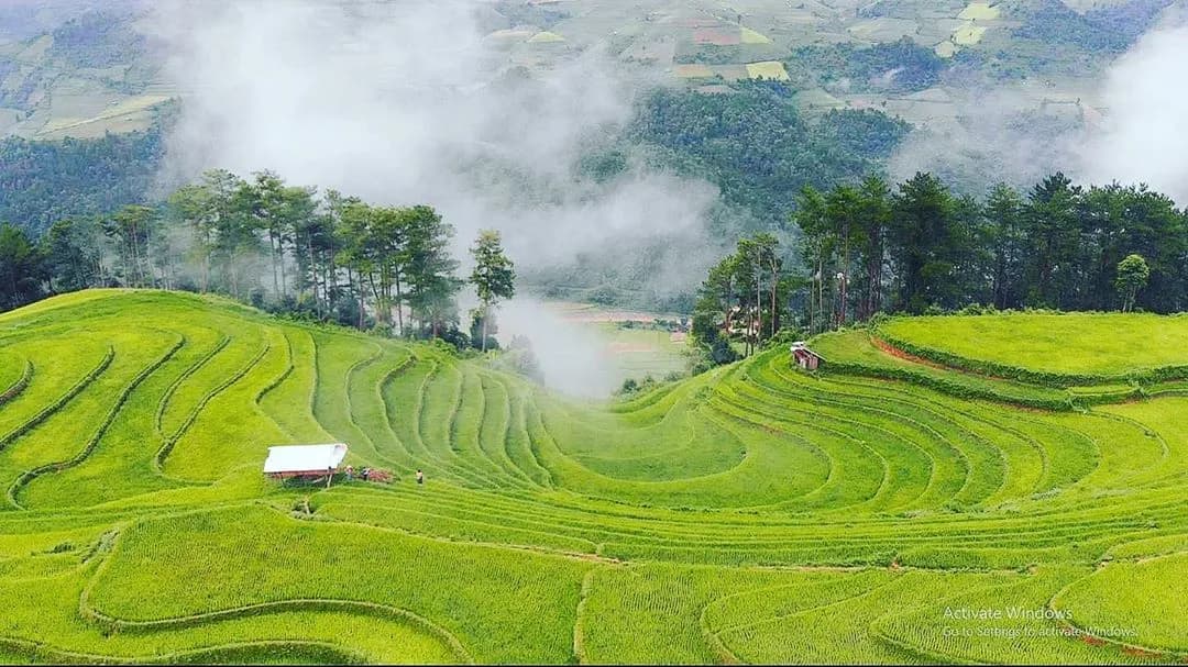 vi-sao-khong-nen-du-lich-mu-cang-chai-mua-lua-chin_3-219.jpg