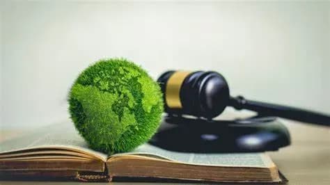 了解越南政府在环境保护方面的优惠和支持政策.