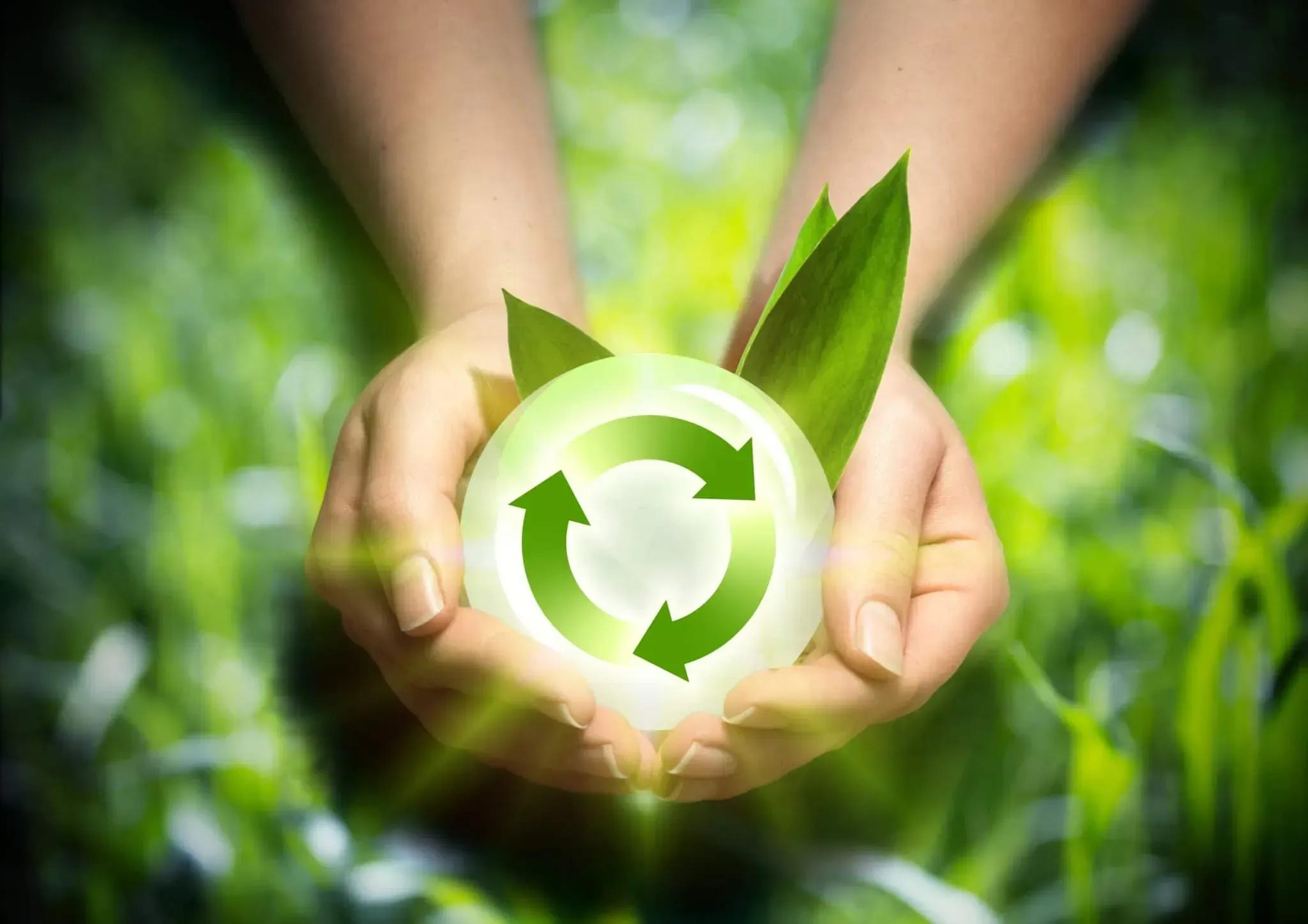 Why do we need to protect the environment?