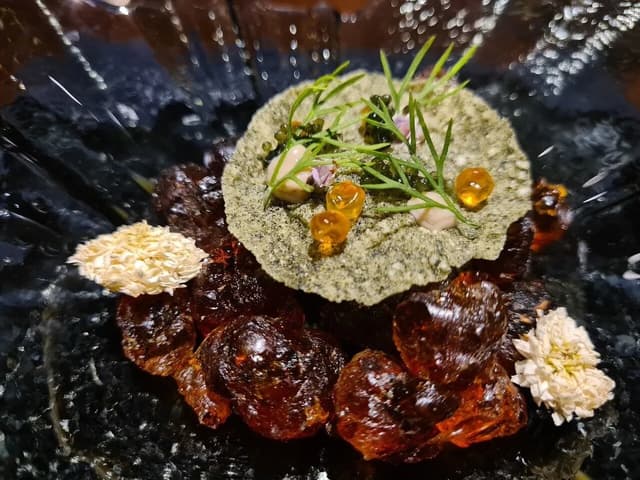 Fine Dining and Michelin Starred Establishments