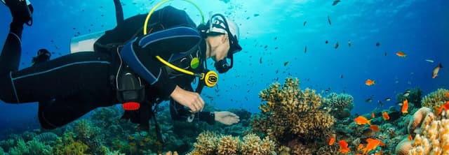 Sustainable Diving