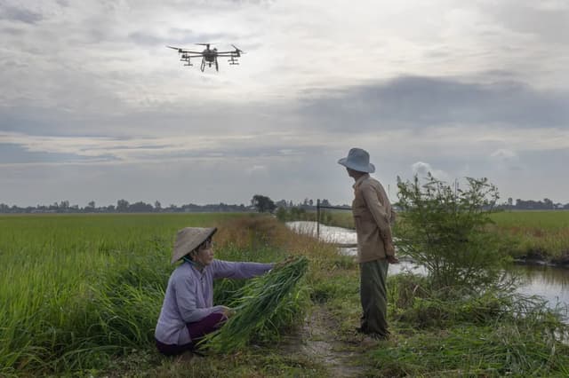 Achievements of Agricultural