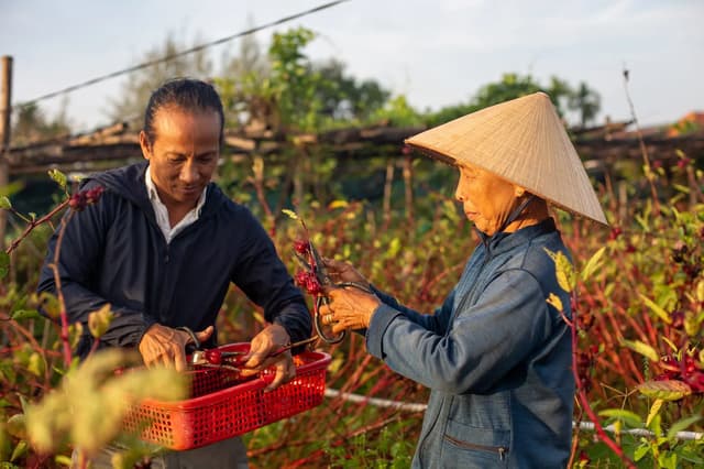 Farm to Table Experience