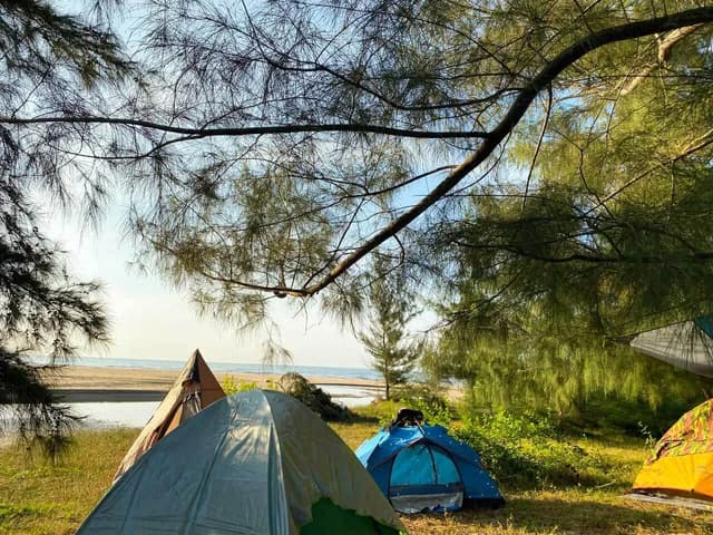 Wild Camping in Vietnam