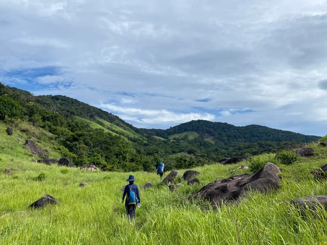Hiking