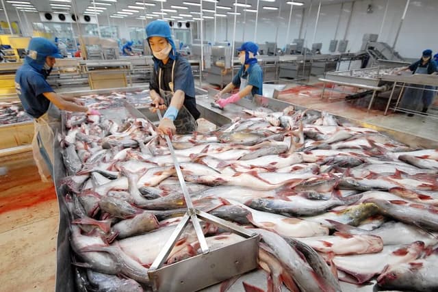Achievements of Fisheries