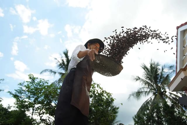 Chocolate Factories and Workshops